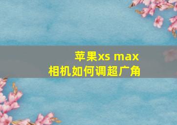 苹果xs max相机如何调超广角